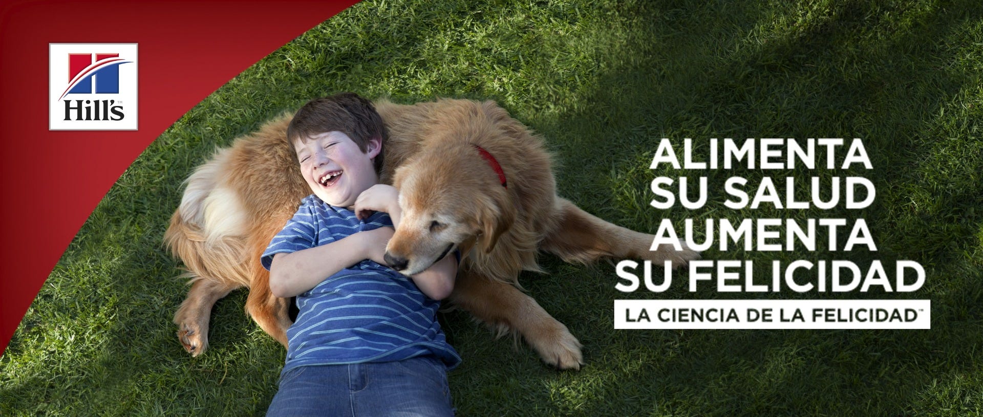 Hills, la mejor marca para tu perro Hills, la mejor marca para tu perro